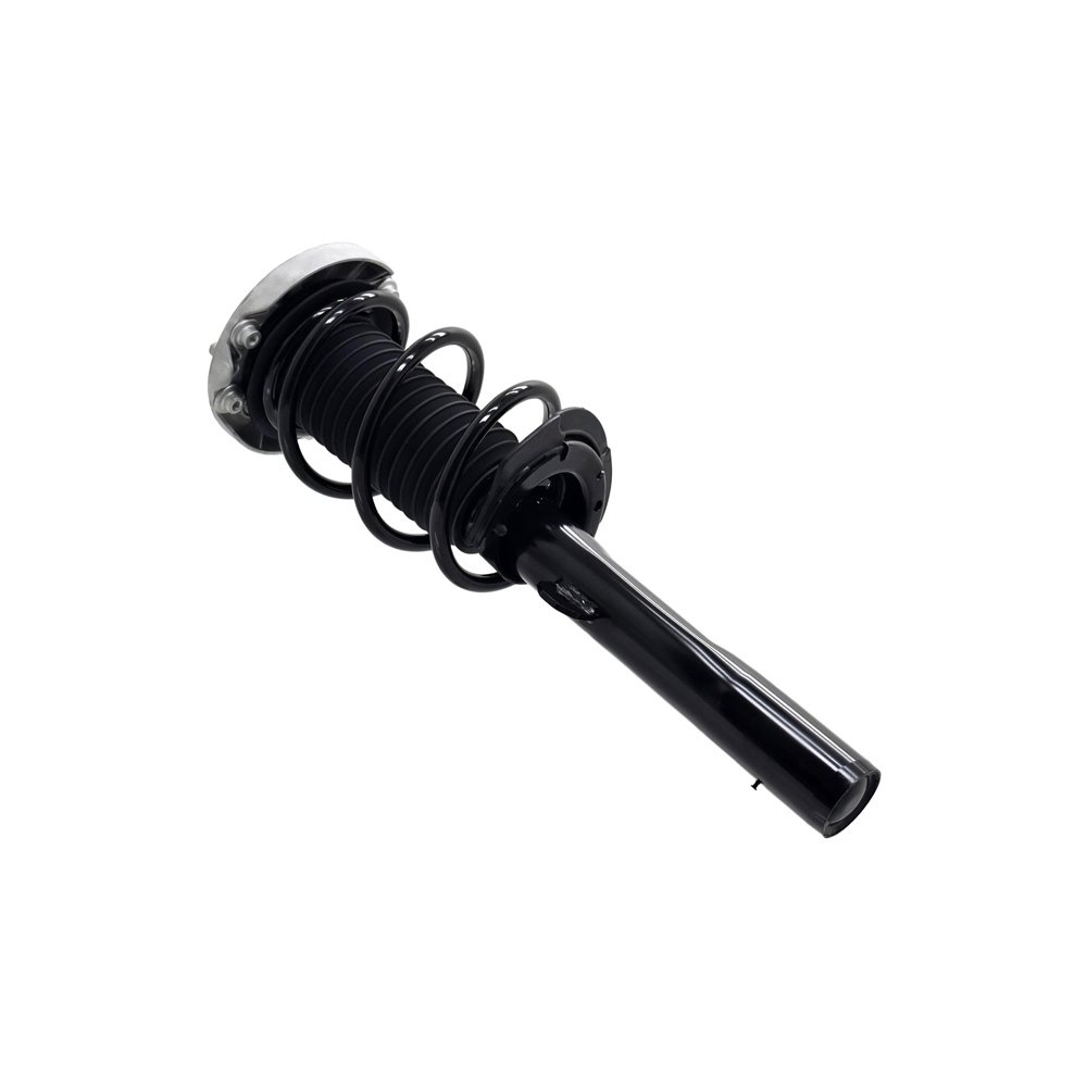 BuyAutoParts 75-28078CS Strut