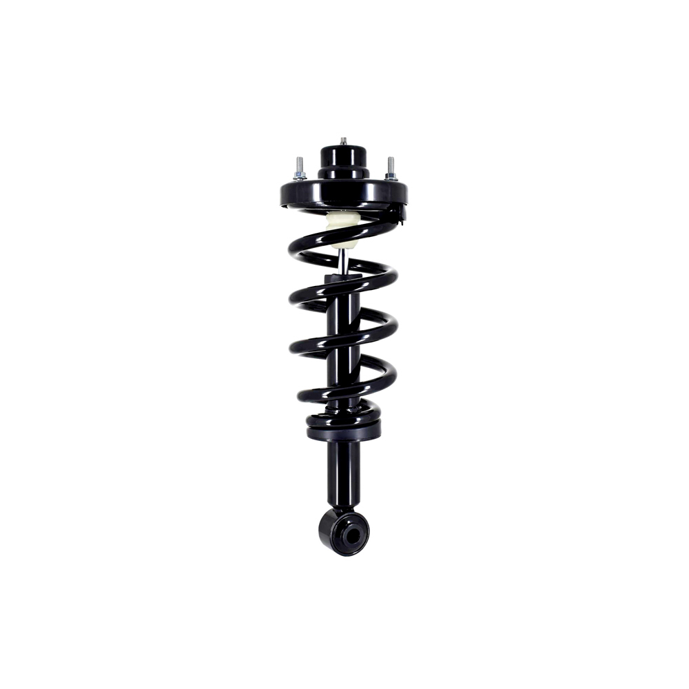 BuyAutoParts 77-785662C Shock and Strut Set
