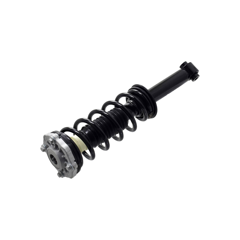 BuyAutoParts 75-28081CS Strut