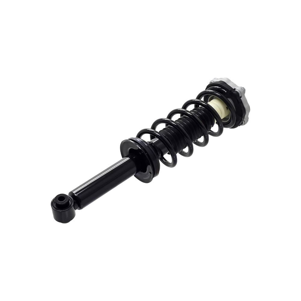 BuyAutoParts 75-28081CS Strut