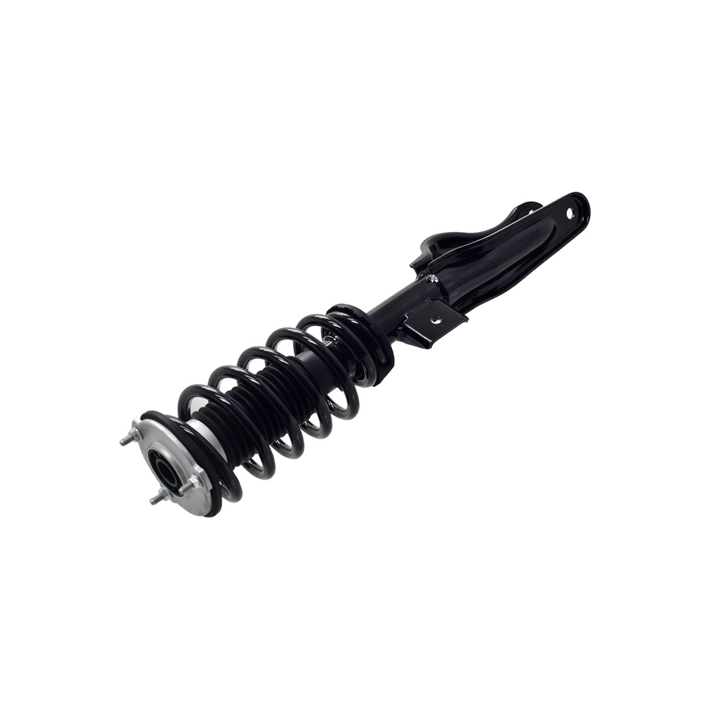2021 Tesla 3 Strut