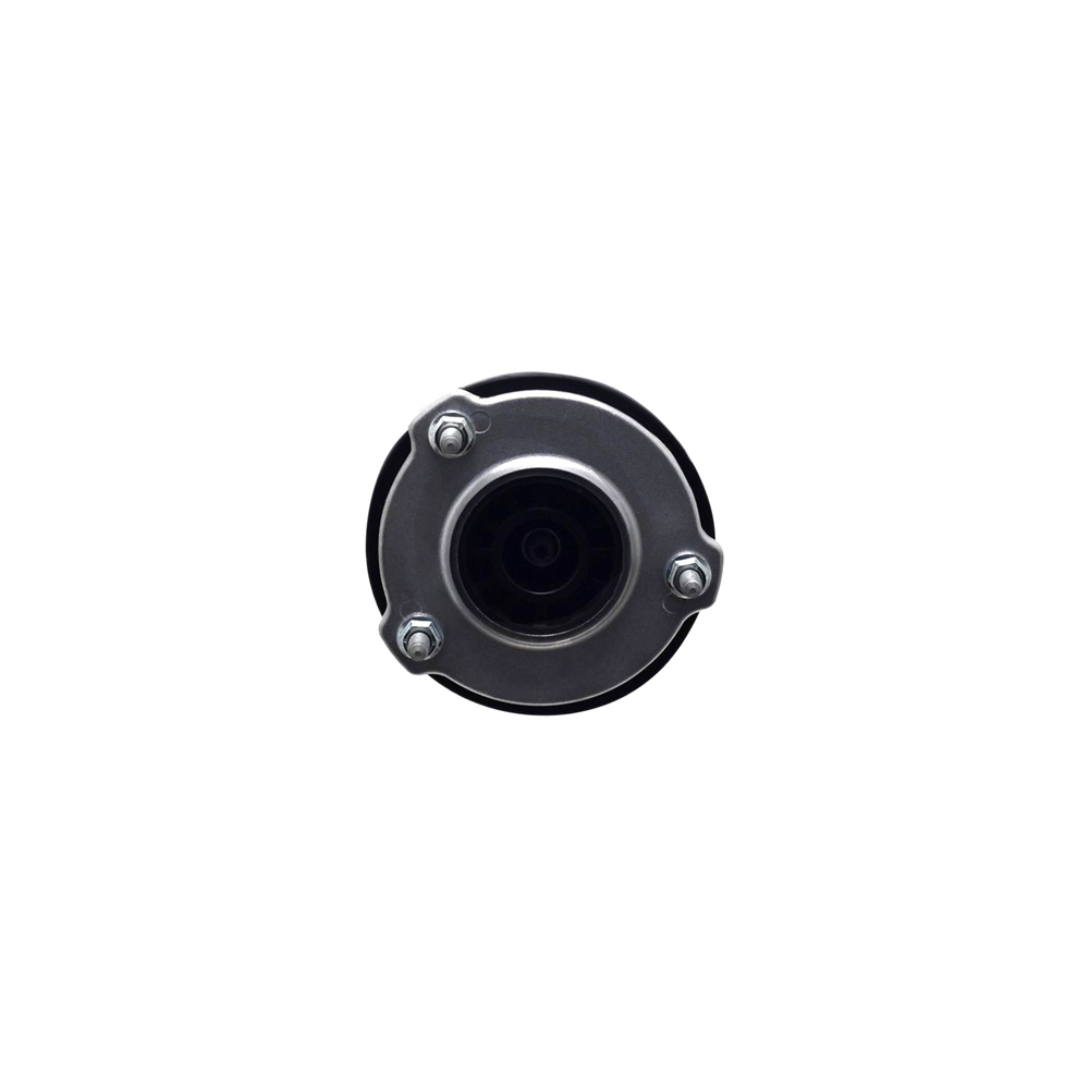 2021 Tesla 3 Strut