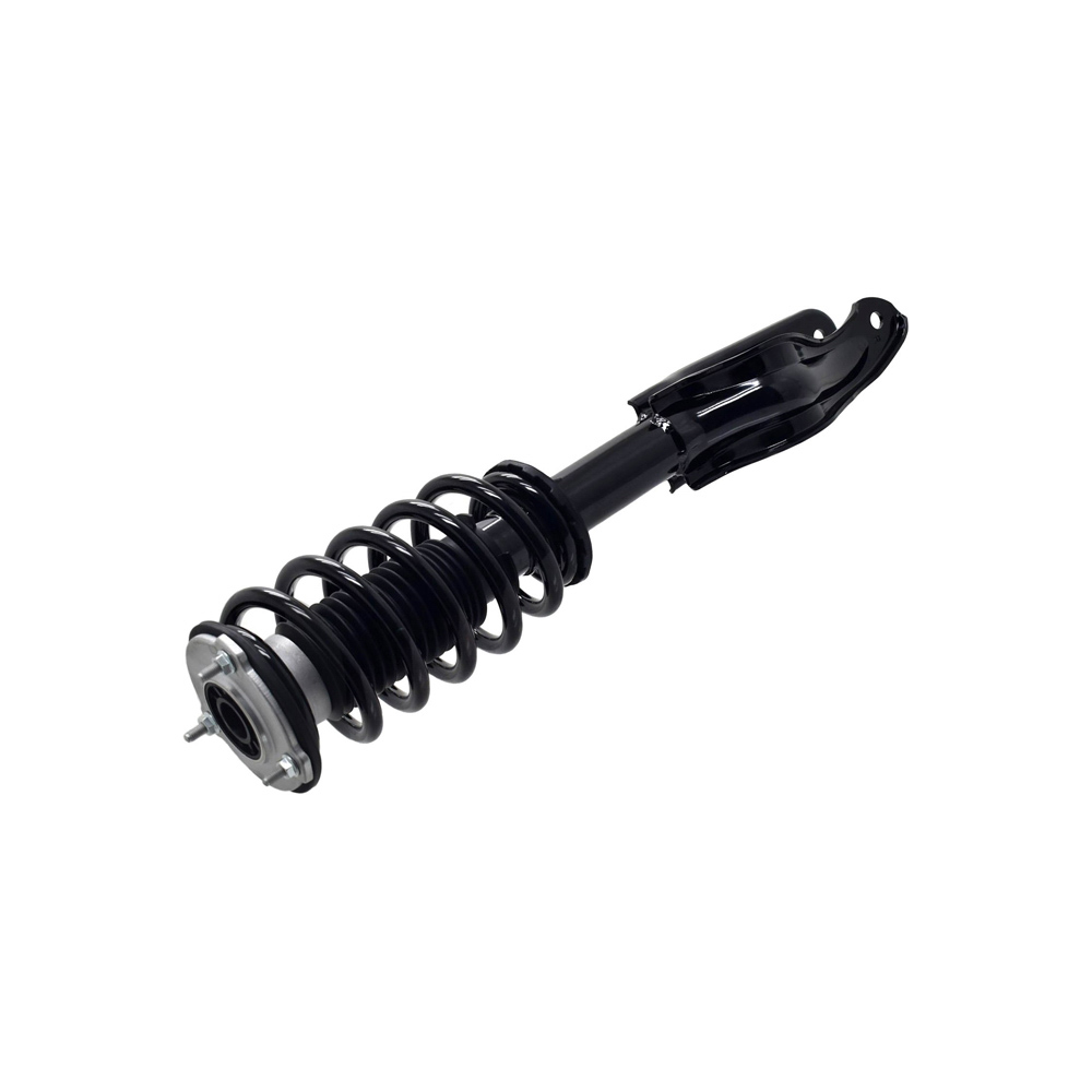 2021 Tesla 3 Strut