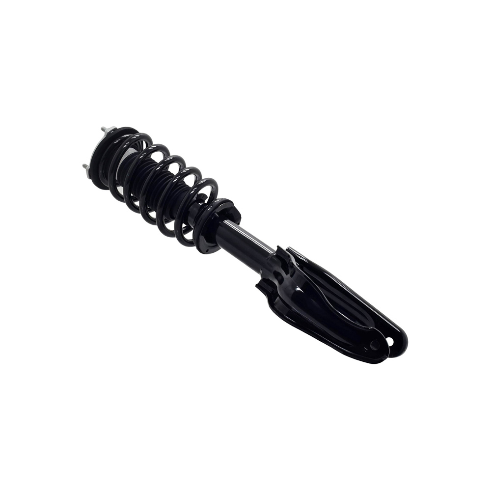 2021 Tesla 3 Strut