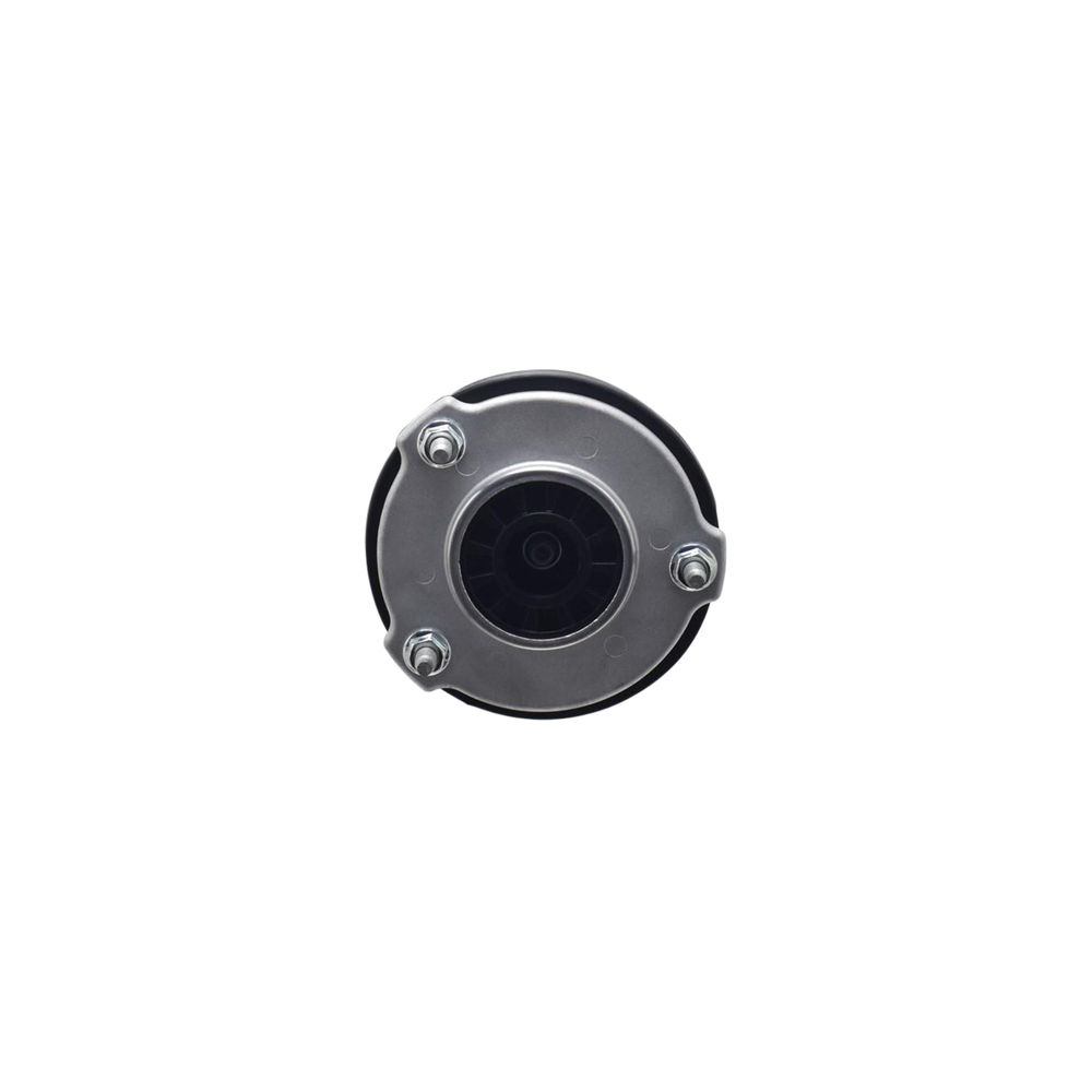 2021 Tesla 3 Strut
