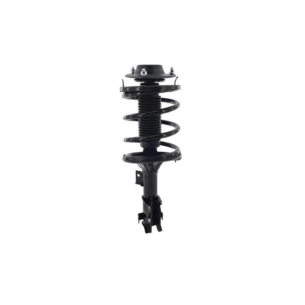 BuyAutoParts 75-21756CS Strut
