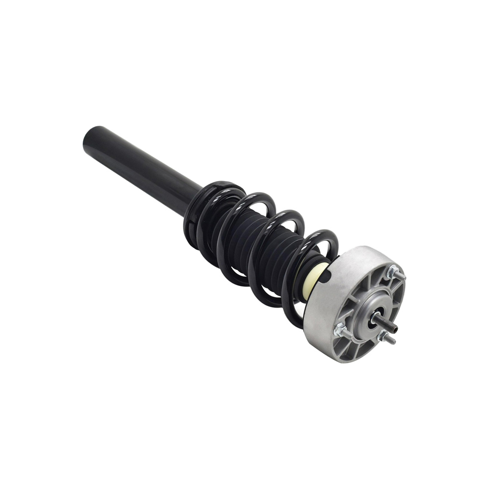 2016 Bmw X6 Strut
