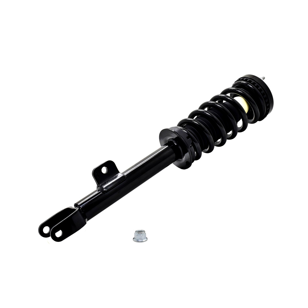 2012 Dodge Charger Strut and Coil Spring Assembly