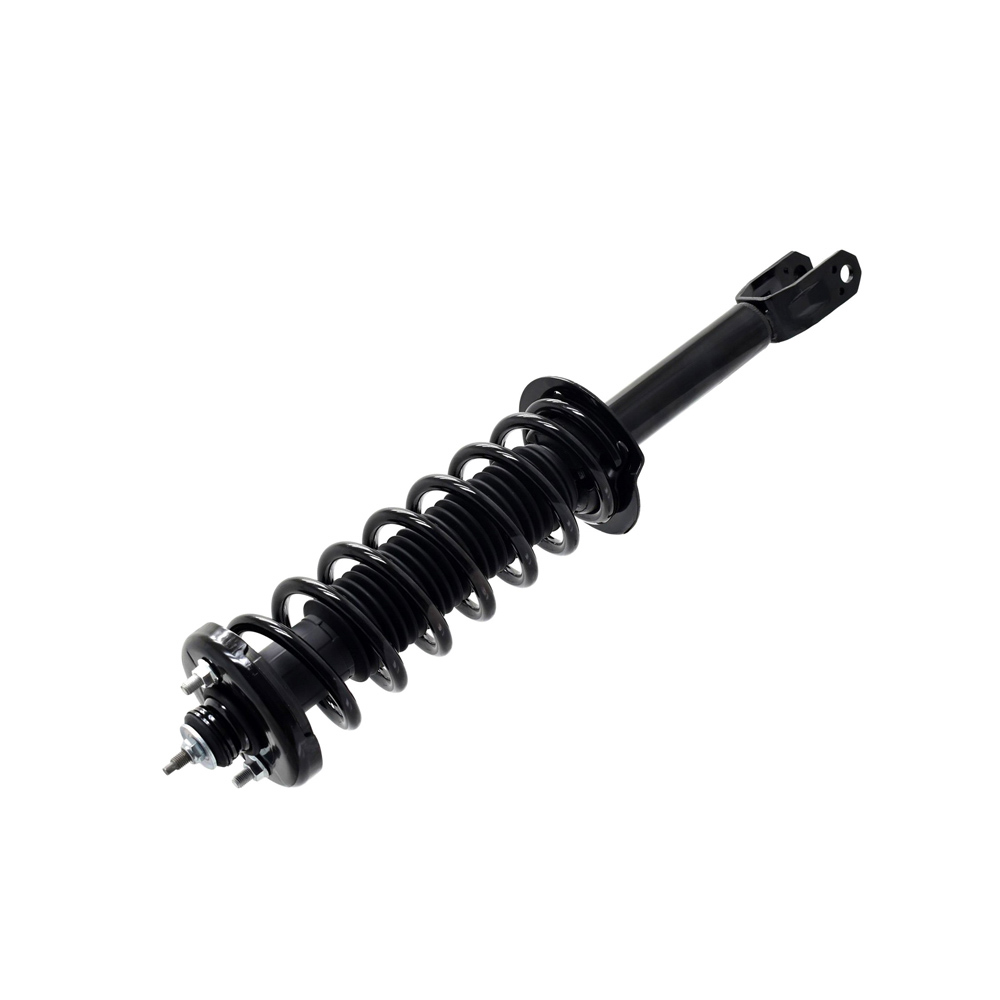 2011 Honda Accord Crosstour Strut