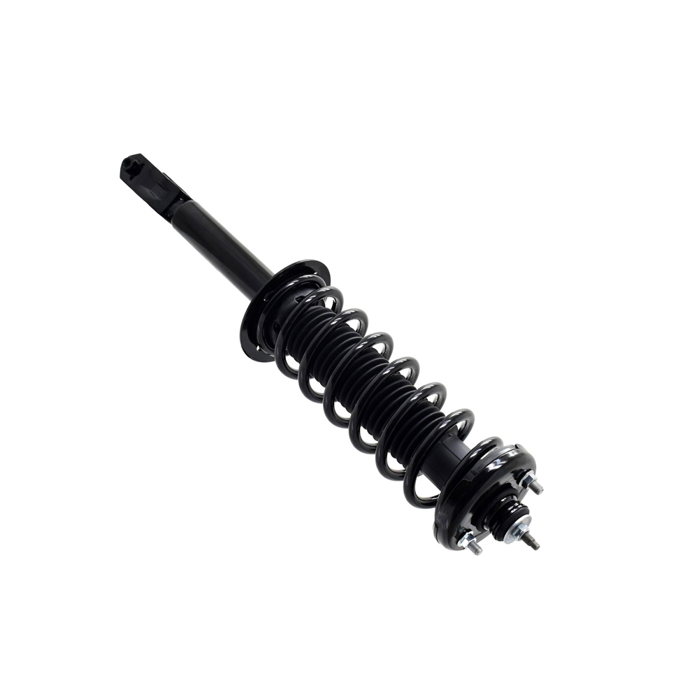 2011 Honda Accord Crosstour Strut
