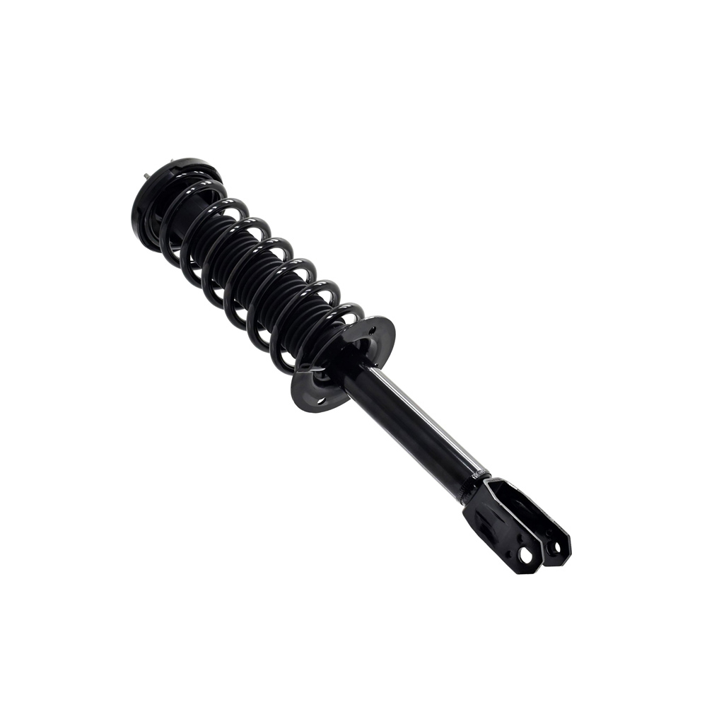 2011 Honda Accord Crosstour Strut