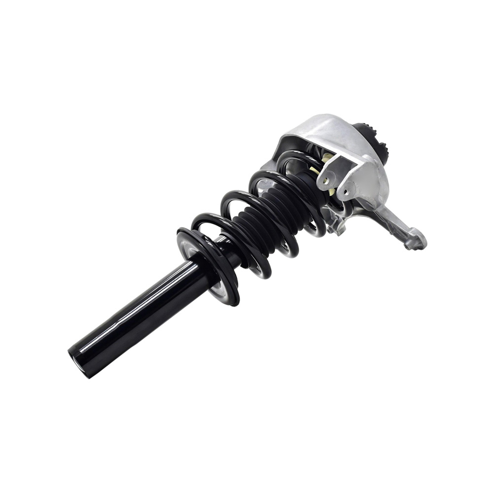 2012 Audi Q5 Strut