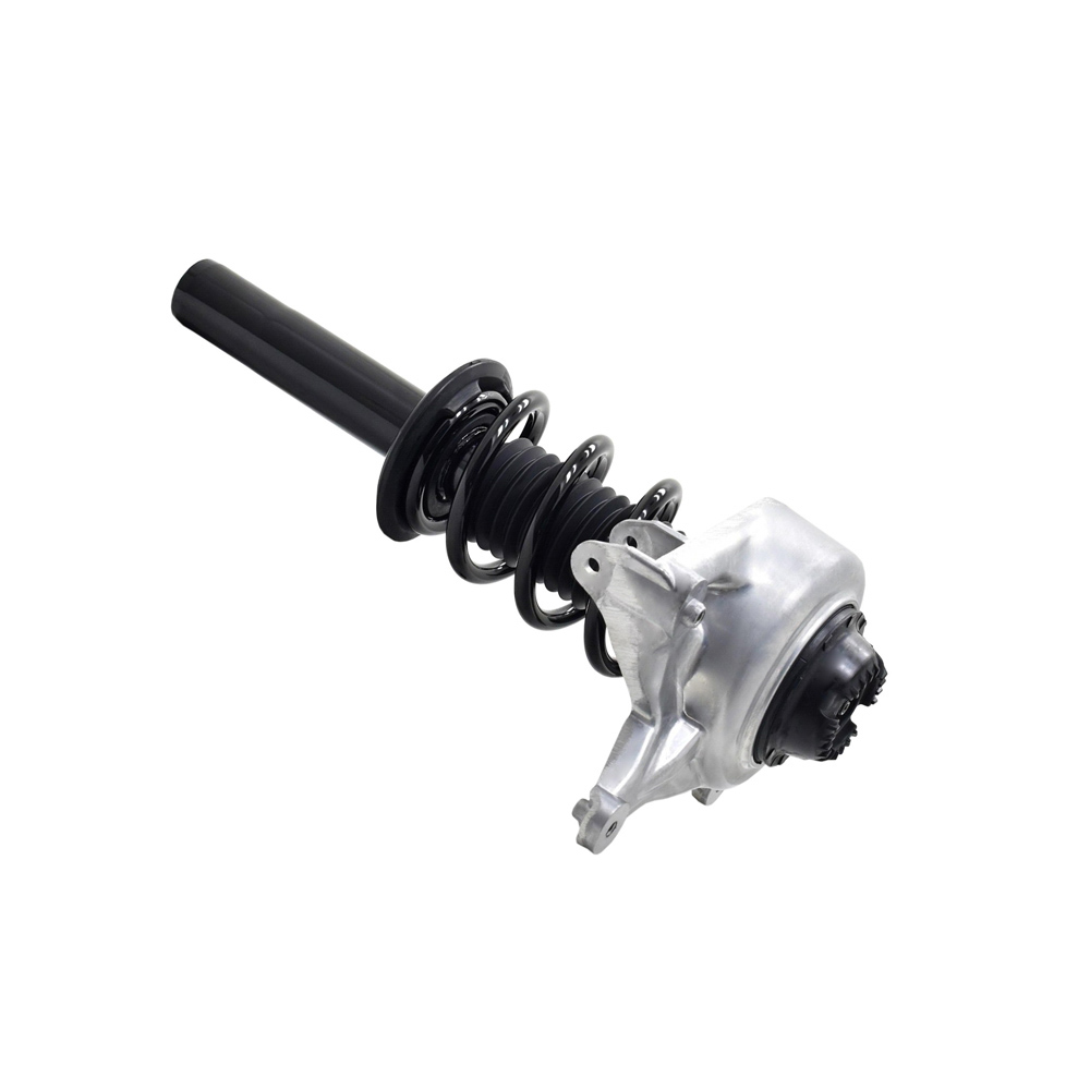 2012 Audi Q5 Strut