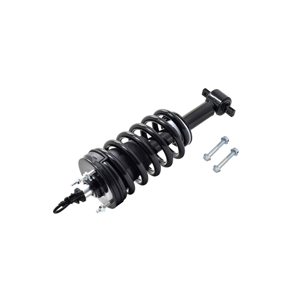 BuyAutoParts 75-22345cs Strut