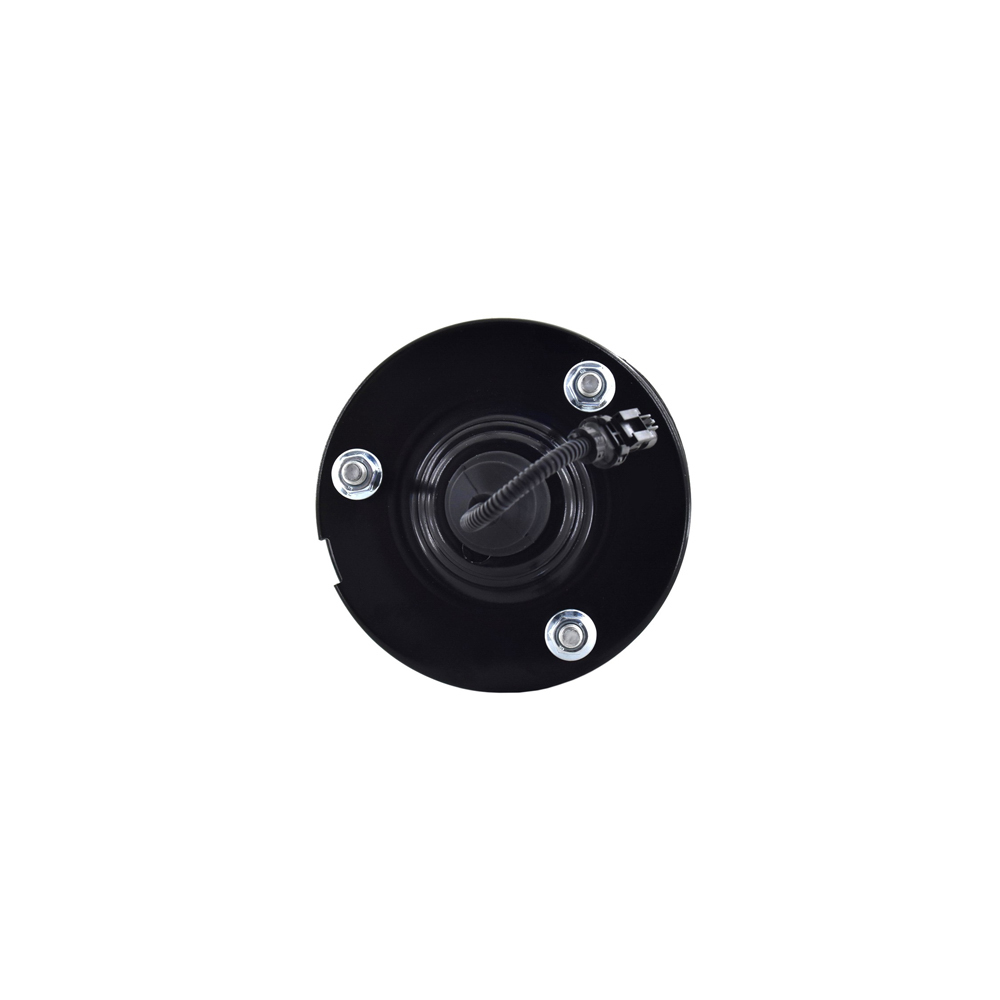 BuyAutoParts 75-22345cs Strut
