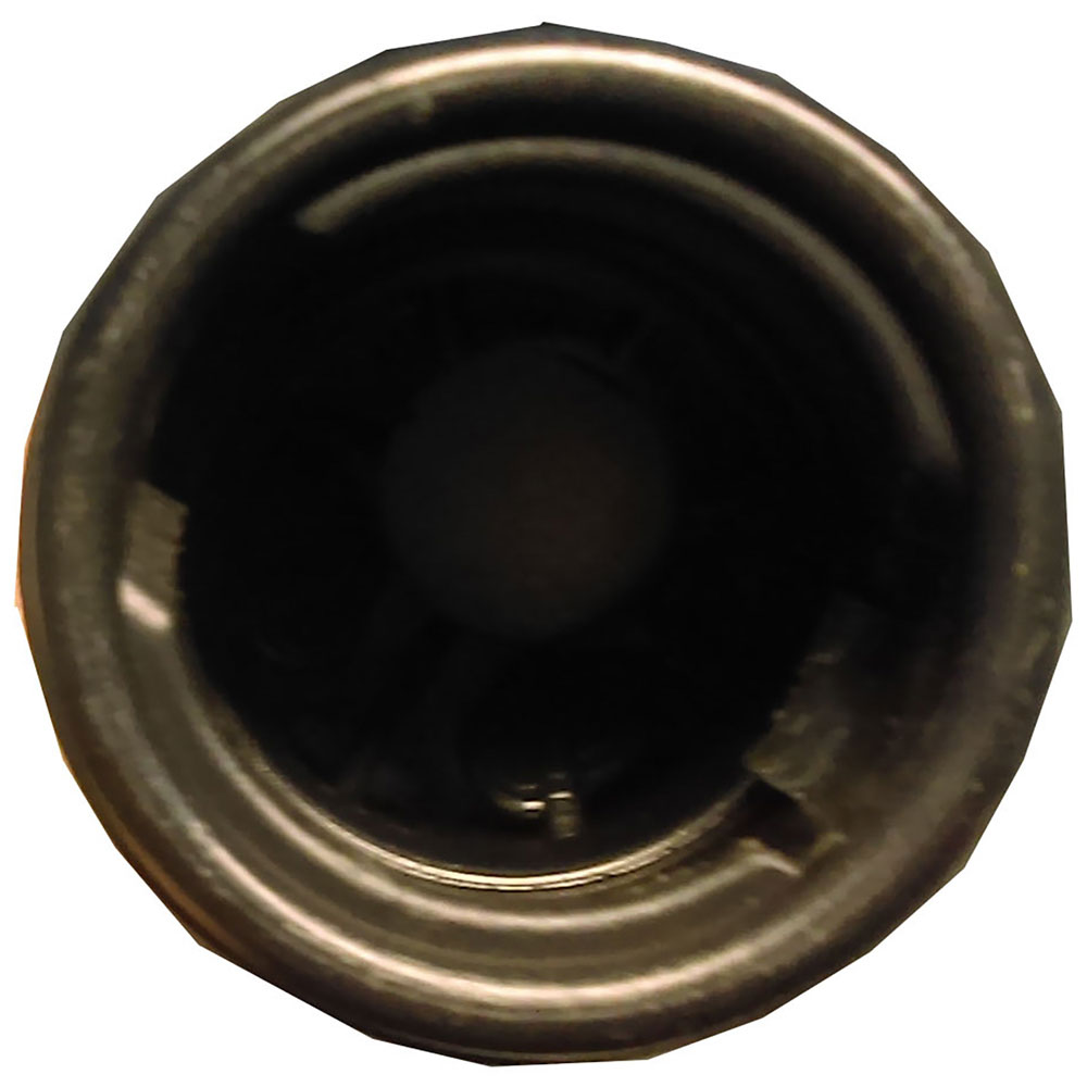 2000 Pontiac Firebird Fuel Filler Neck