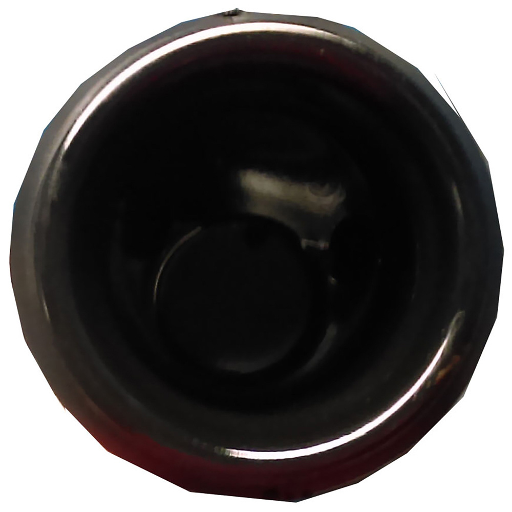1999 Toyota RAV4 Fuel Filler Neck