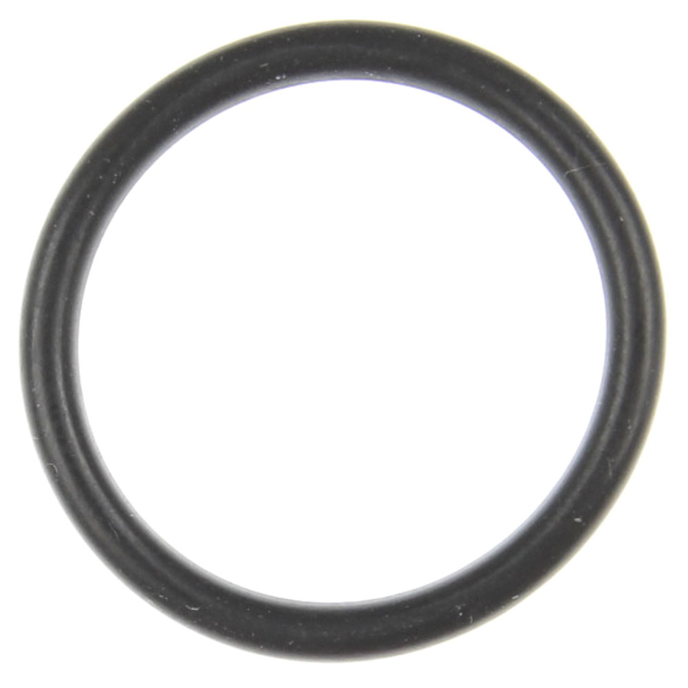 2005 Dodge Durango Fuel Injection Throttle Body O-Ring