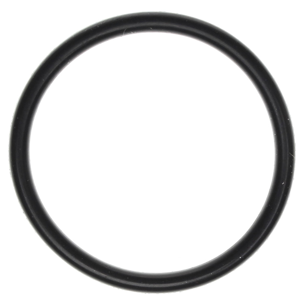 2009 Dodge Durango Fuel Injection Throttle Body O-Ring