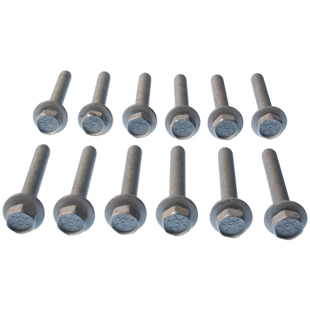 2003 Dodge Ram 1500 Van Engine Intake Manifold Bolt Set