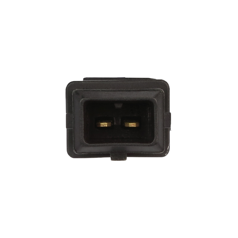 2003 Mini Cooper Knock Sensor