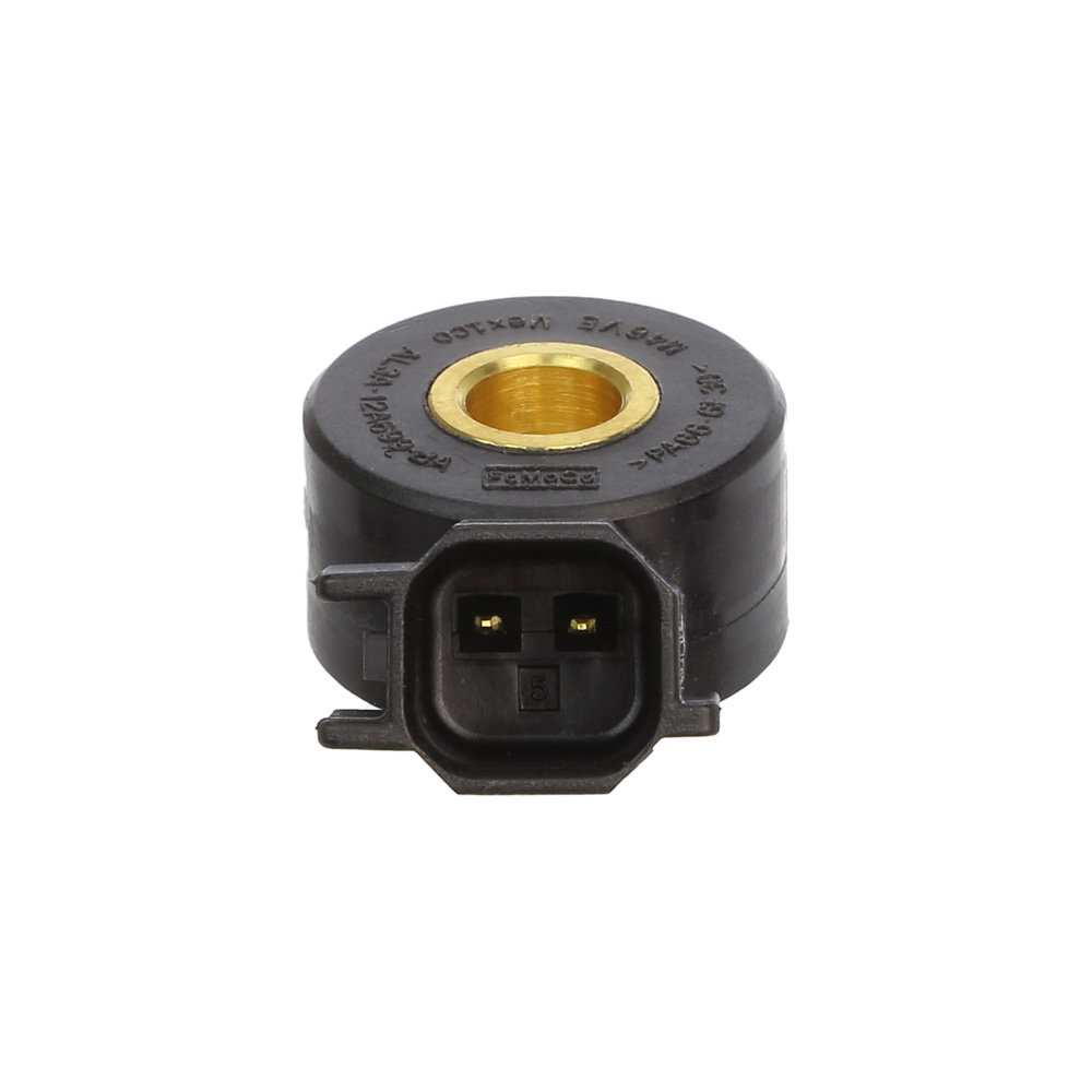 2021 Ford Mustang Knock Sensor