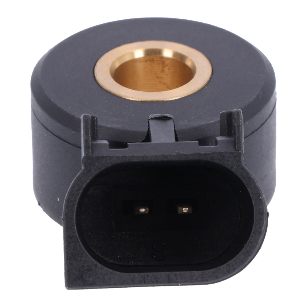 2016 Buick Cascada Knock Sensor
