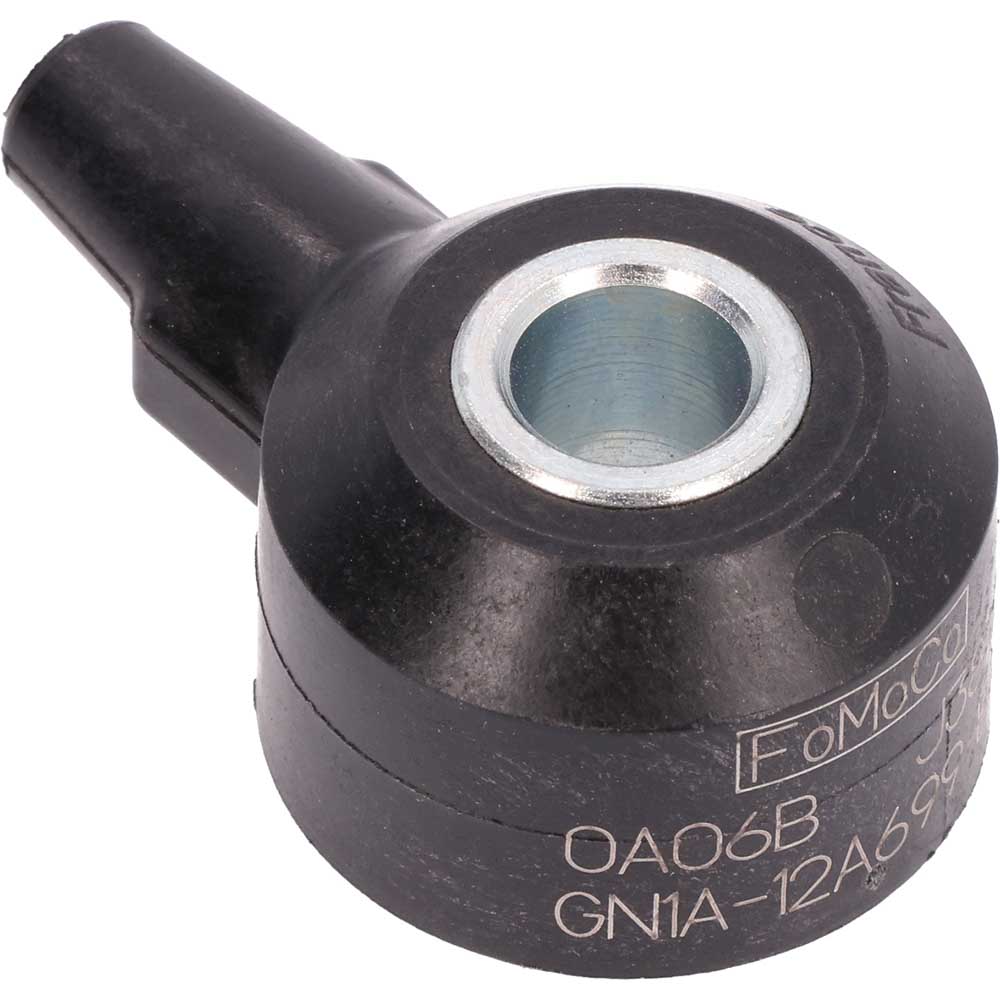 2021 Ford Bronco Sport Knock Sensor