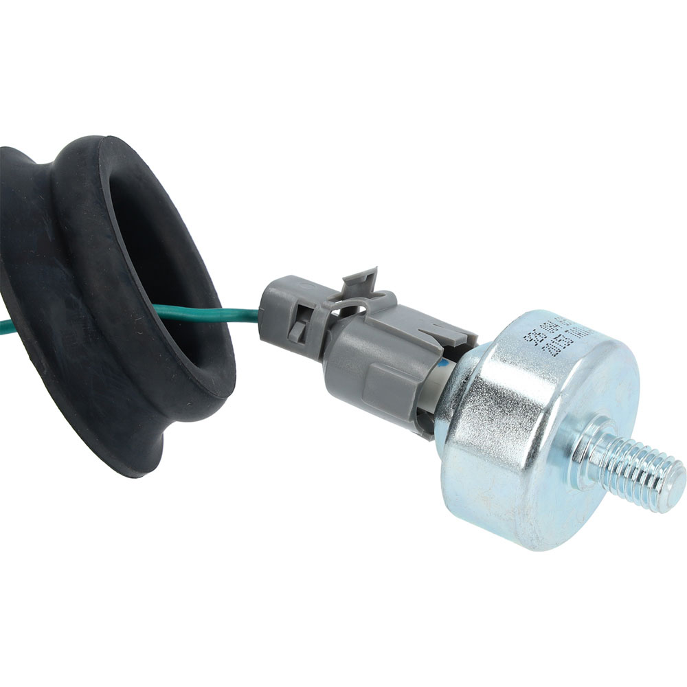 2004 Buick Rainier Knock Sensor