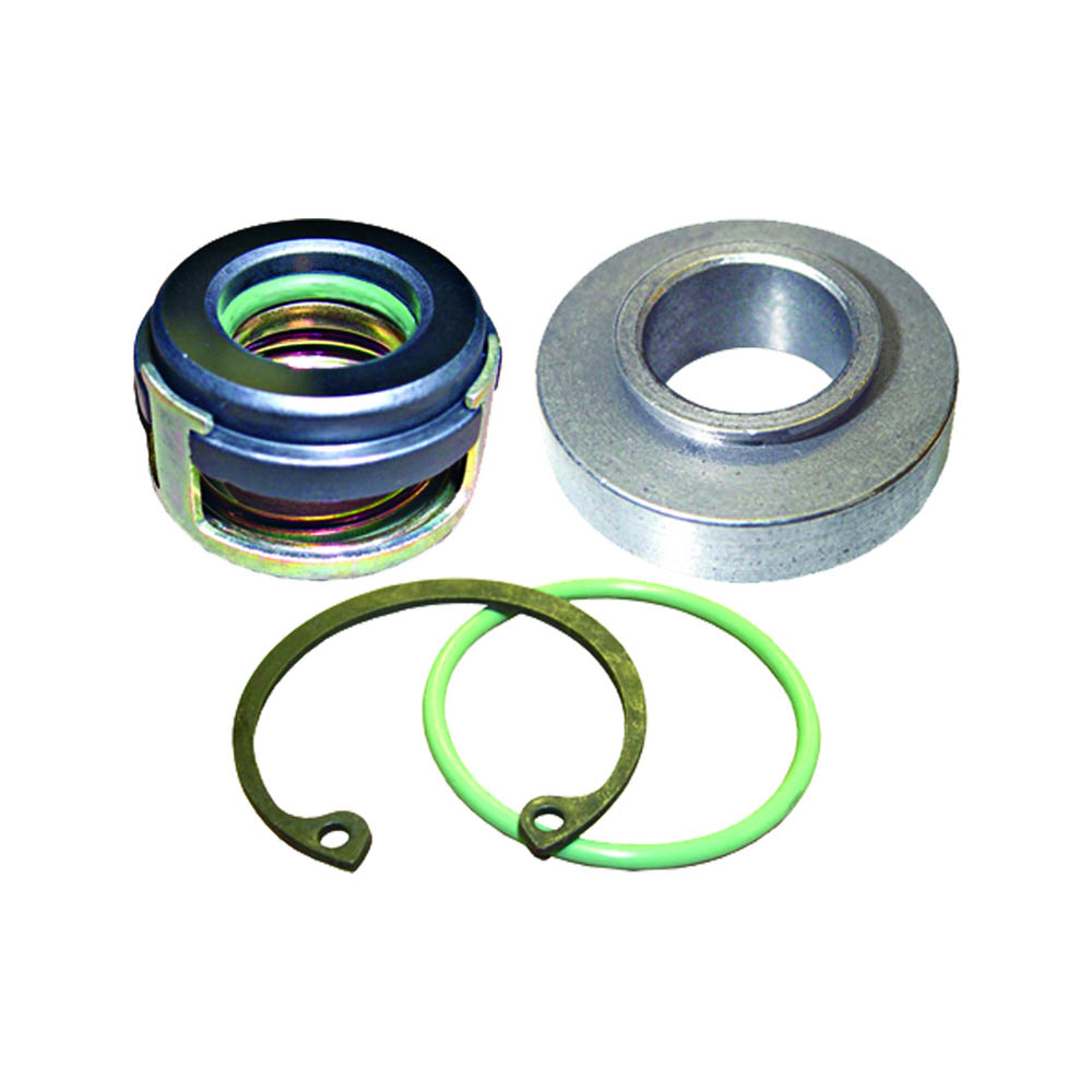 1987 Ford Thunderbird A/C Compressor Shaft Seal Kit
