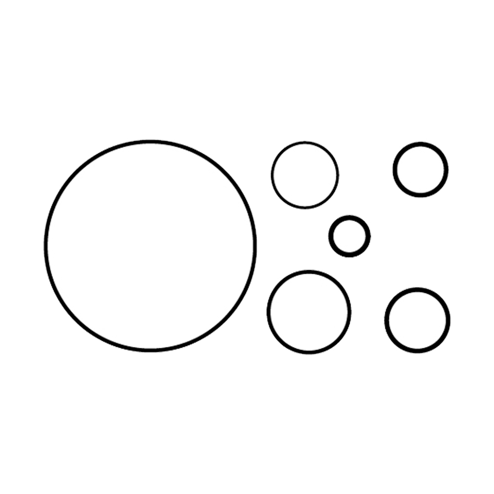 BuyAutoParts AE-V0114AN A/C Compressor Gasket Kit