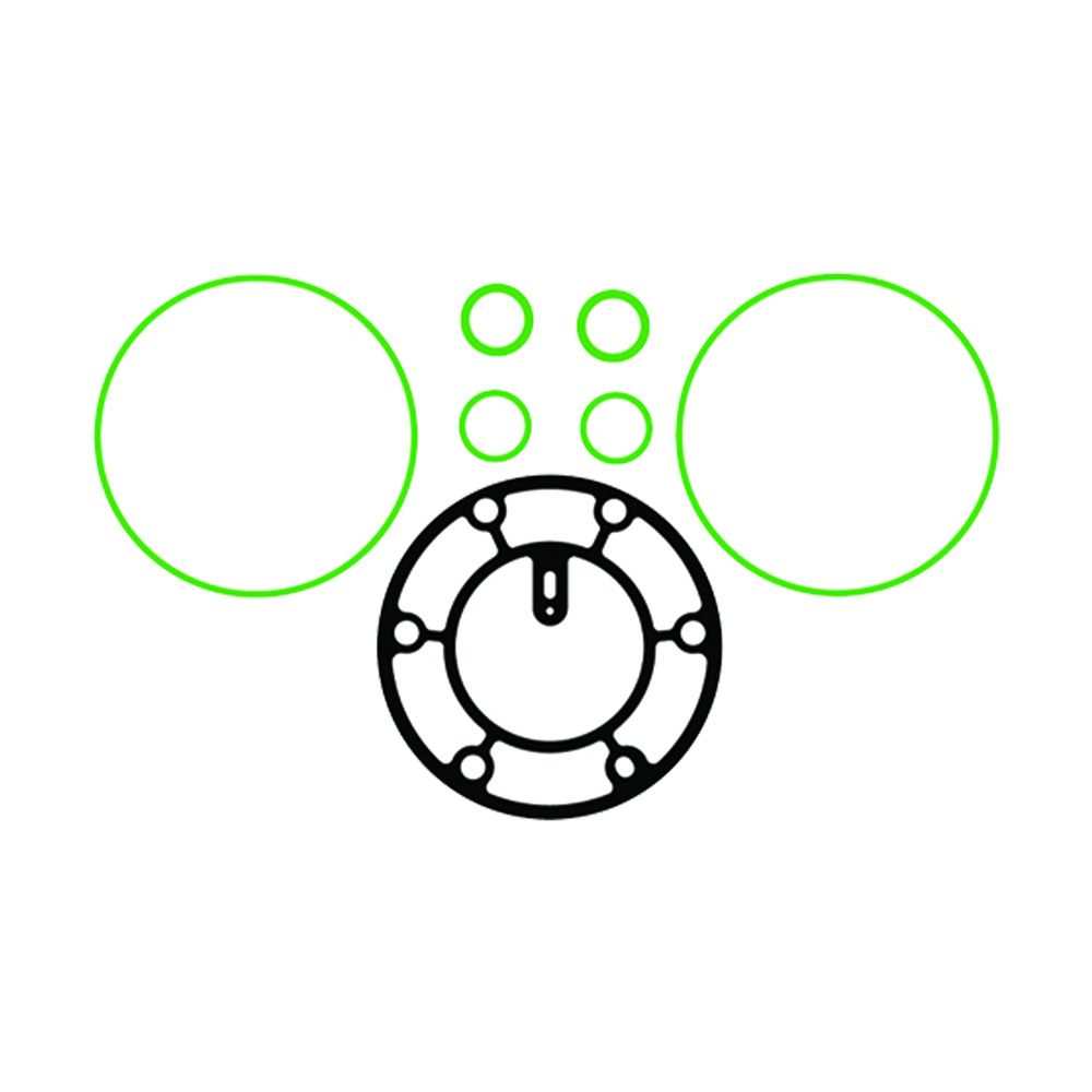 BuyAutoParts AE-V0150AN A/C Compressor Gasket Kit