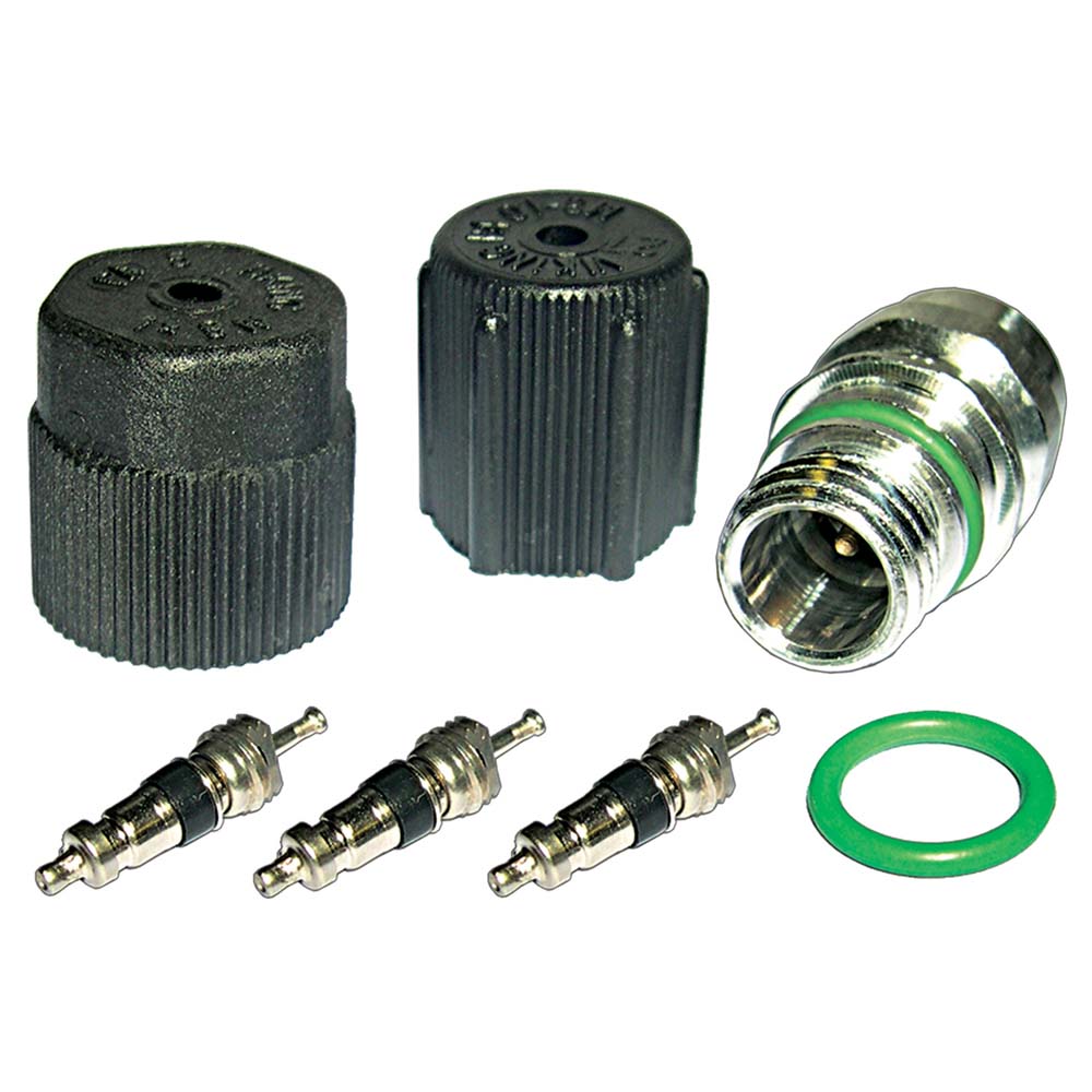  Saturn LS A/C System Valve Core and Cap Kit 