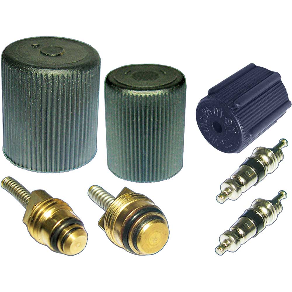 BuyAutoParts AQ-B0025AN A/C System Valve Core and Cap Kit