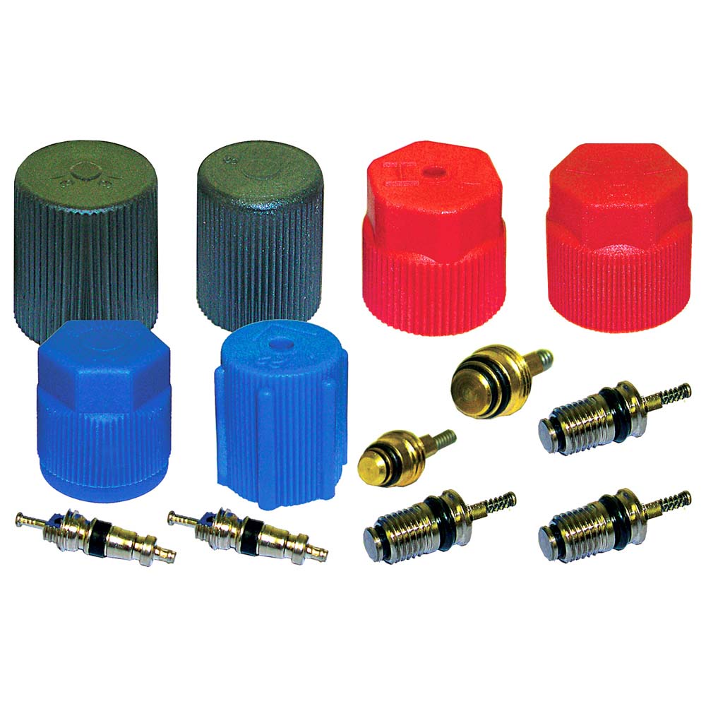BuyAutoParts AQ-B0026AN A/C System Valve Core and Cap Kit