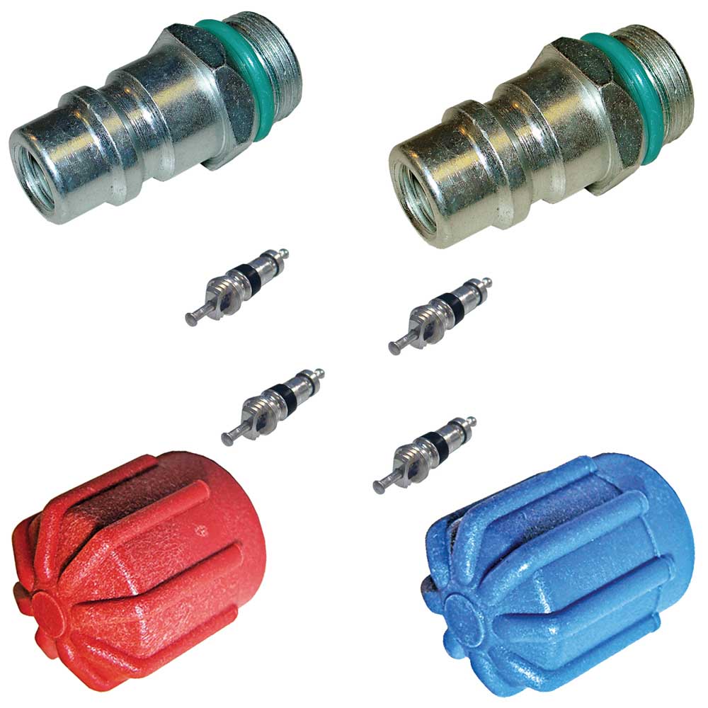 Bmw 850csi a/c system valve core and cap kit