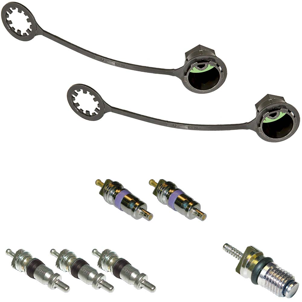 2017 Audi A3 A/C System Valve Core and Cap Kit