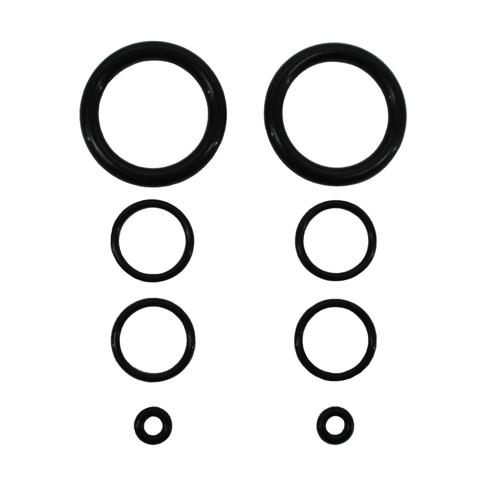 2000 Ford Expedition Air Suspension O-Ring Kit
