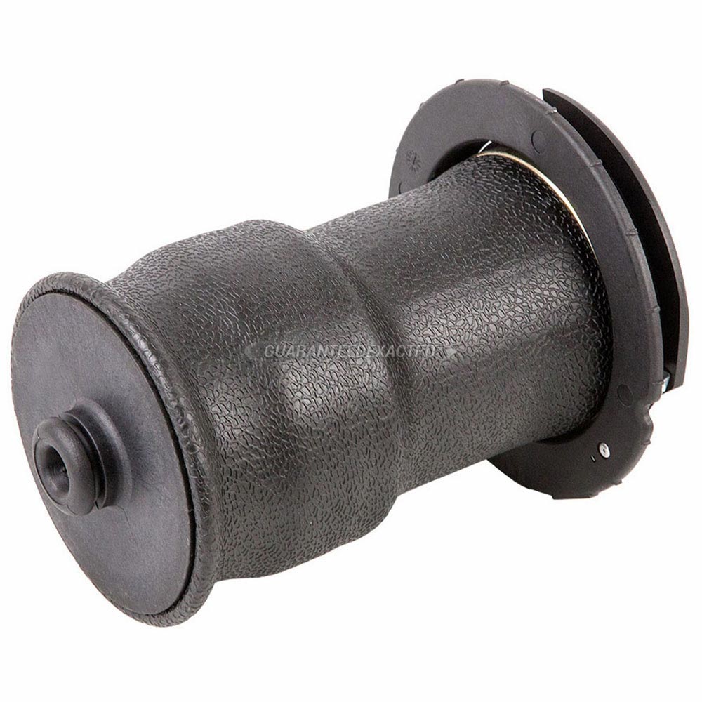BuyAutoParts 76-10023AN Air Spring