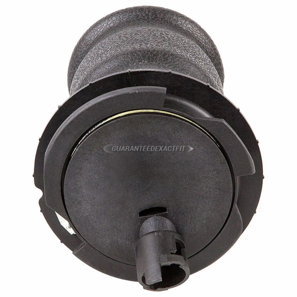 BuyAutoParts 76-10023AN Air Spring