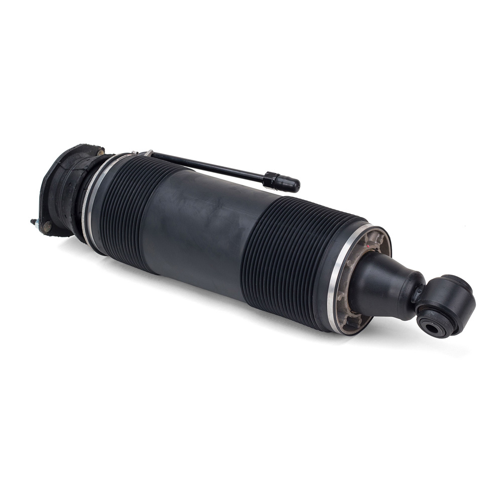 Arnott Industries SK-2472 Shock Absorber