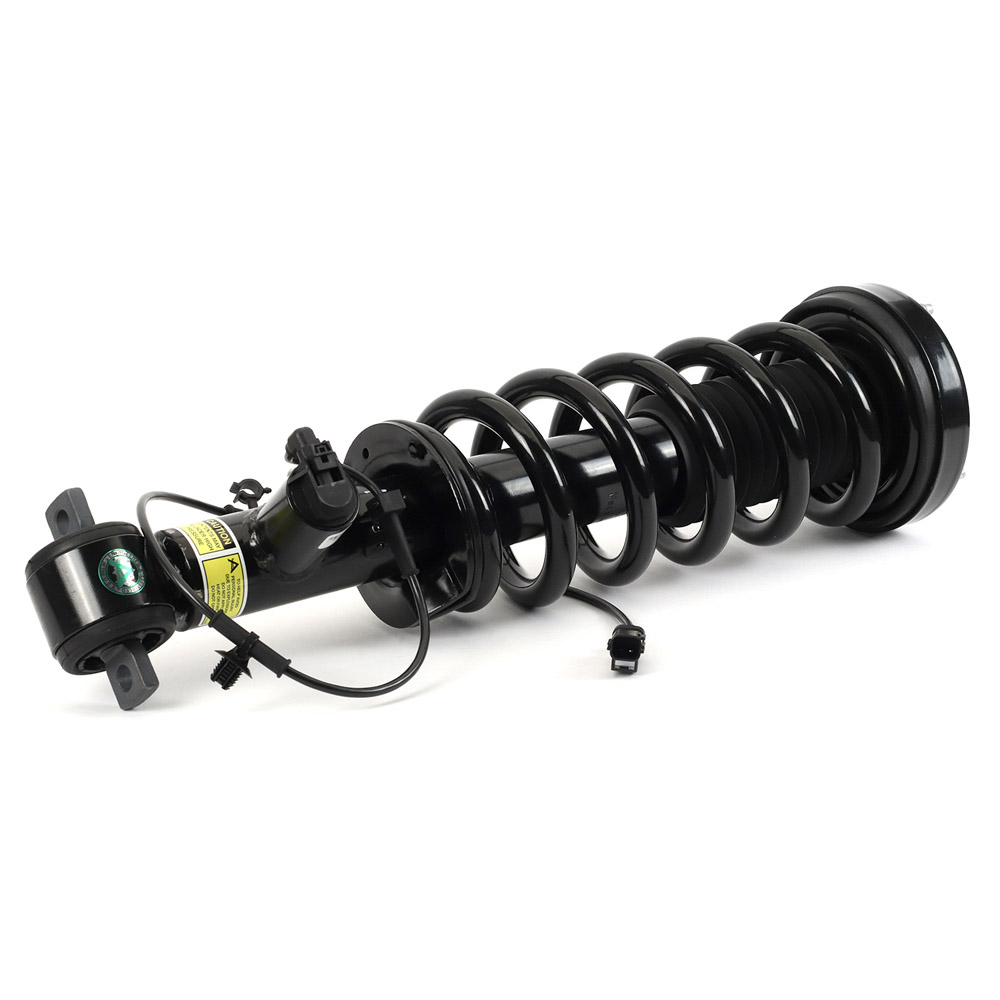 Arnott Industries SK-3597 Strut