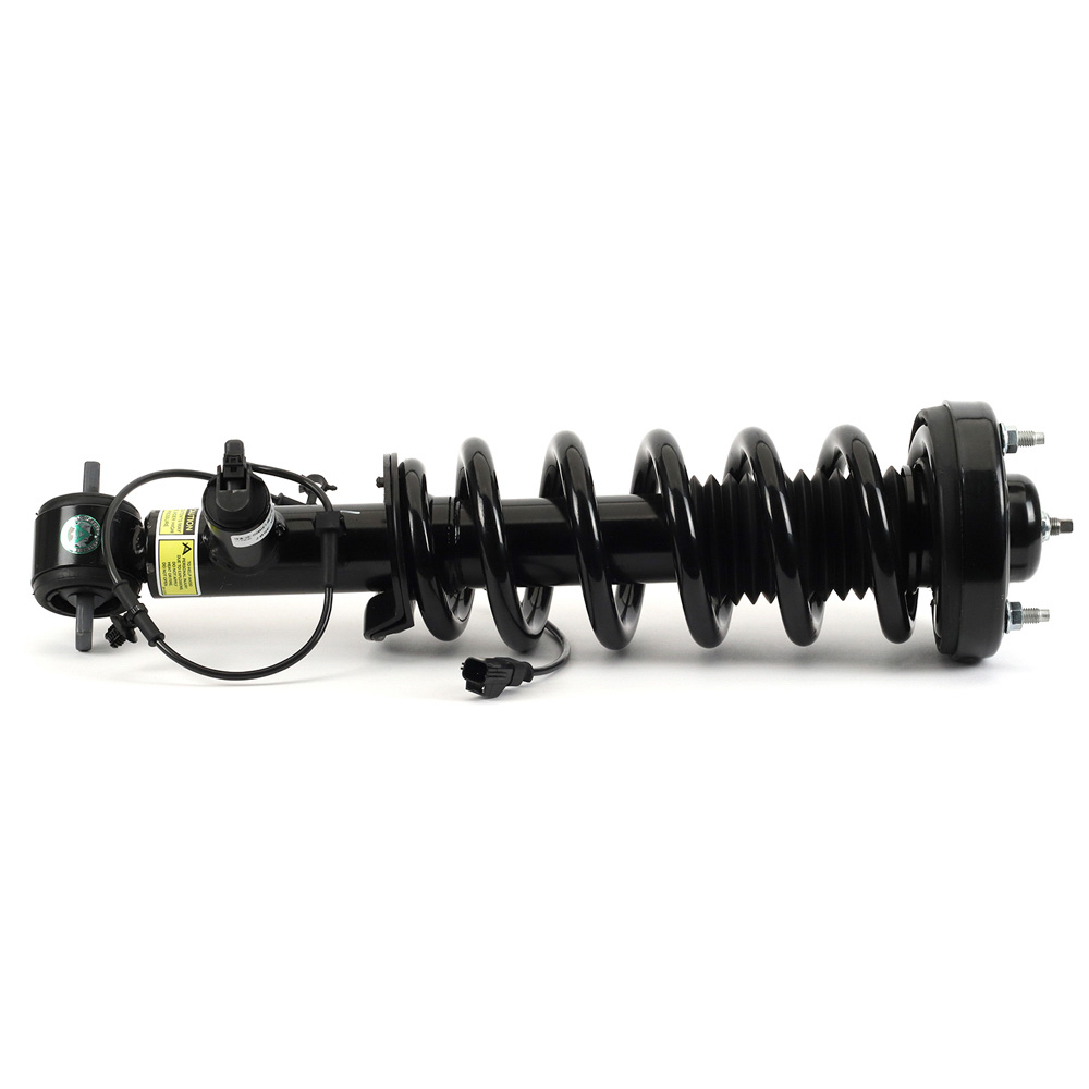 Arnott Industries SK-3597 Strut