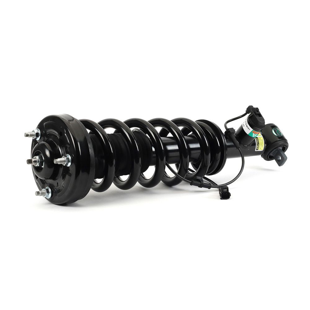 Arnott Industries SK-3598 Strut