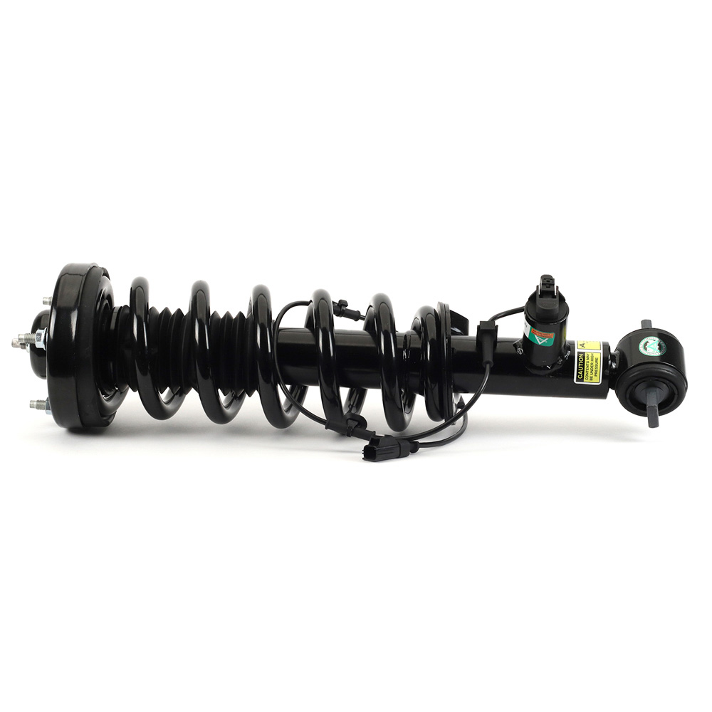 Arnott Industries SK-3598 Strut
