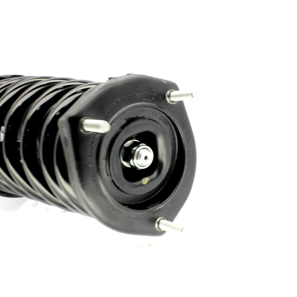 2000 Lexus ES300 Strut and Coil Spring Assembly