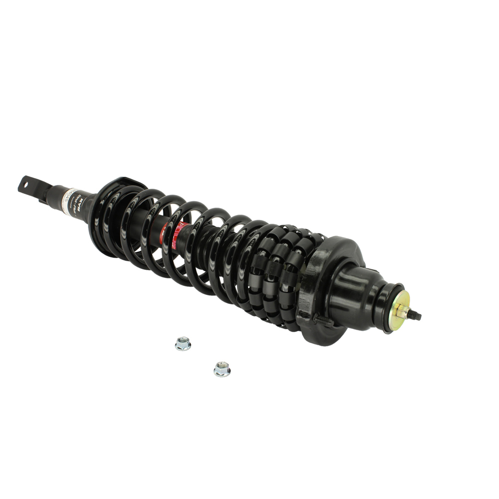 1993 Honda Accord Strut and Coil Spring Assembly