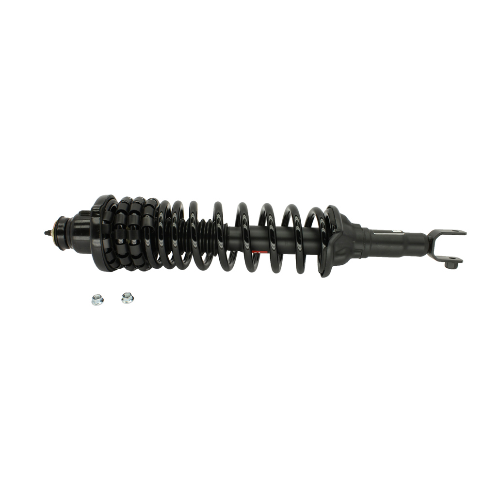 1990 Honda Accord Strut and Coil Spring Assembly