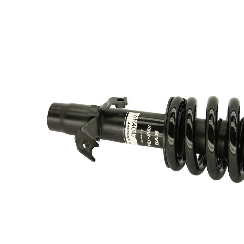 1995 Honda Accord Strut and Coil Spring Assembly