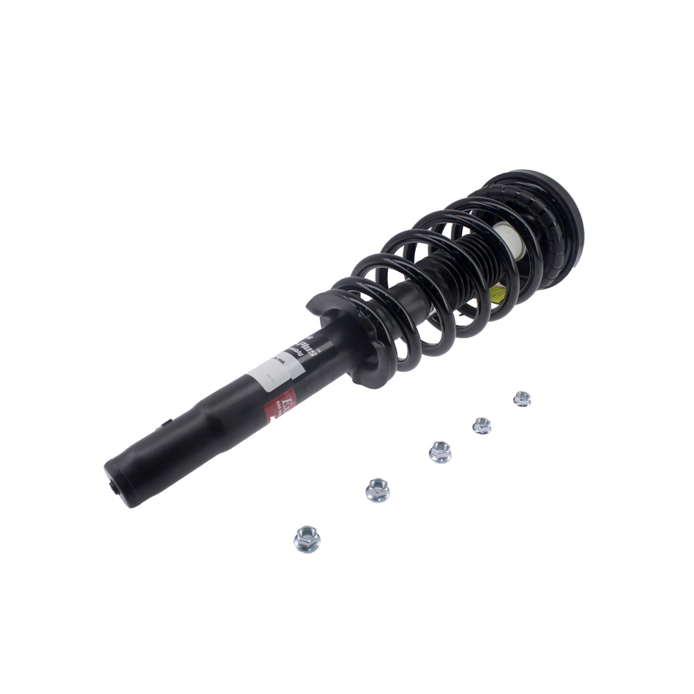 2000 Honda Accord Strut and Coil Spring Assembly